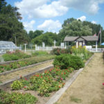 Sonnenberg Mansion Garden in the Finger Lakes