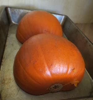 Pumpkin in the pan