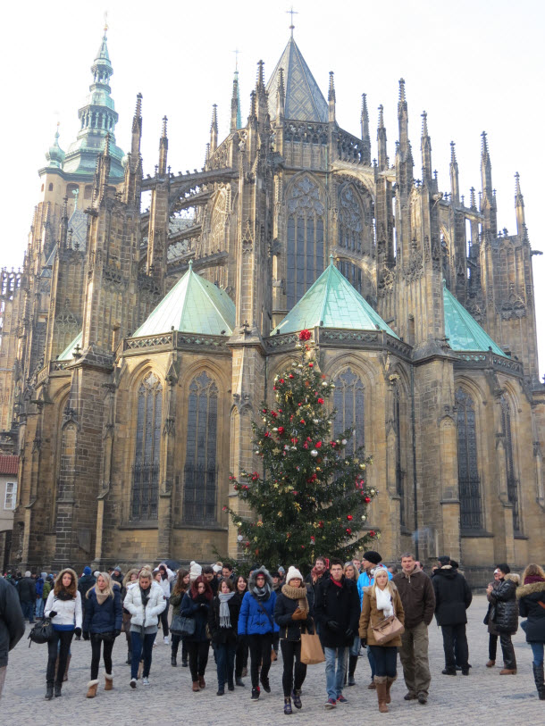 Prague Cathedral with Christmas tree