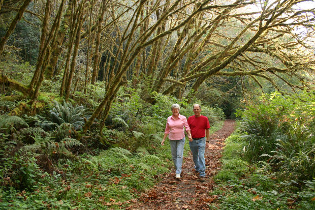 Walking in the woods