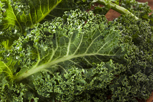 The benefits of kale