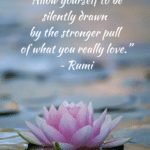 Career or Careen - Quote by Rumi