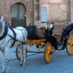 Baby Boomer Travel | Seville, Spain | Horse and Carriage