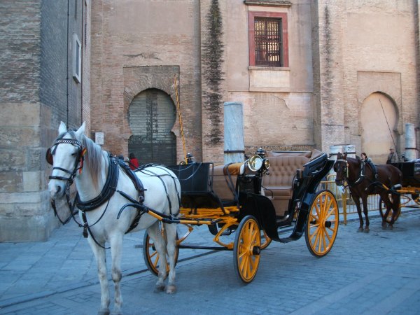 Baby Boomer Travel | Seville, Spain | Horse and Carriage