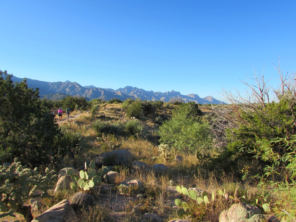 Baby Boomer Travel | Arizona | Miraval - Sonoran Desert - Tucson