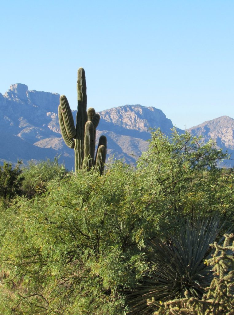 Baby Boomer Travel | Arizona | Miraval - Sonoran Desert - Tucson