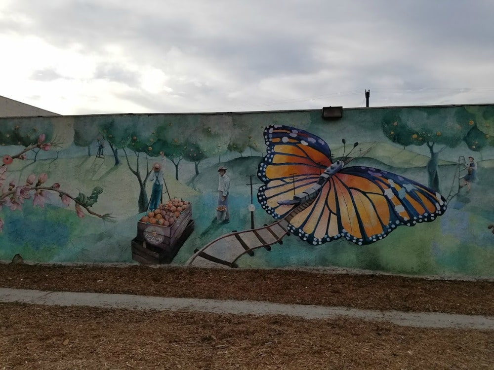 Baby Boomer Travel | Street Art | NOHO | Butterfly and Peaches