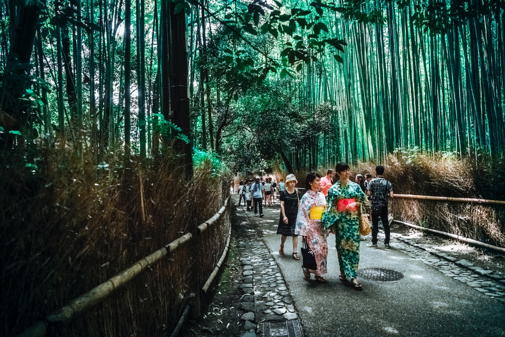When you find yourself in Kyoto, dedicate at least one morning to take a stroll in the Arashiyama Bamboo Grove #Japan