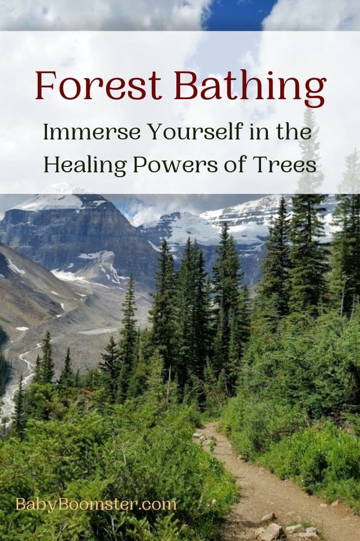 Forest Bathing for healing and stress reduction