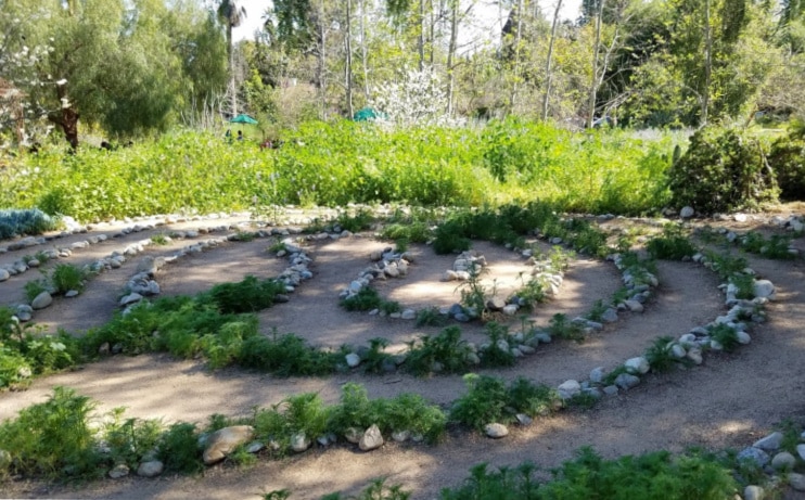 Labyrinth at Arlington park in Pasadena, California