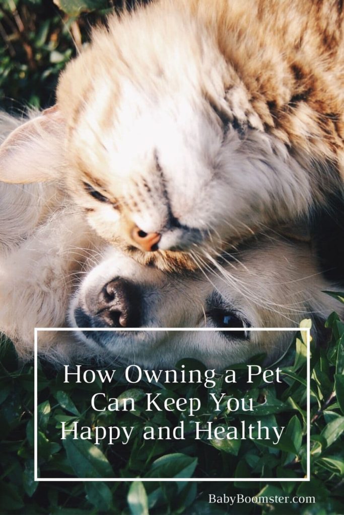 Owning a pet