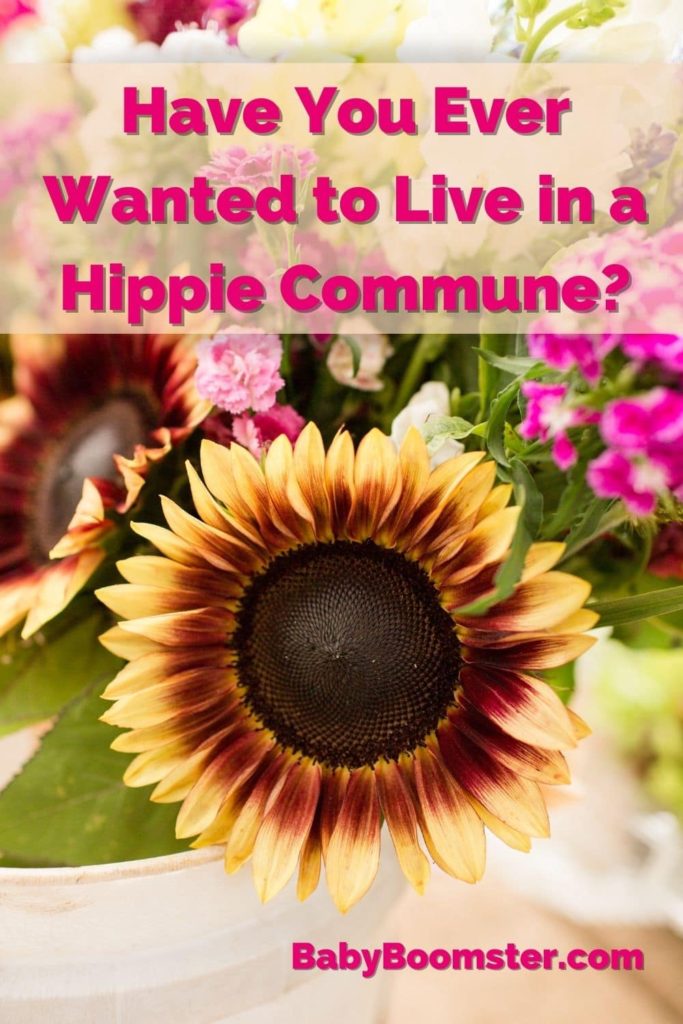 Have you ever wanted to live in a hippie commune?