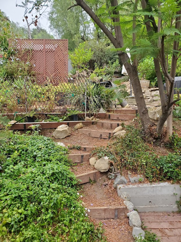 Hillside garden steps