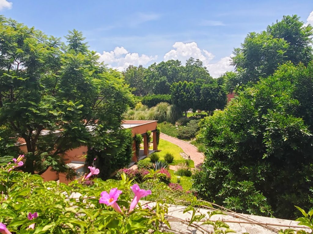 Garden view from a room at the Rosewood Hotel in San Miguel de Allende