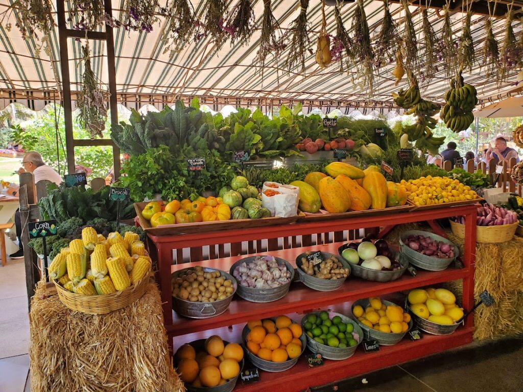 Farm store at Flora Farms, Mexico