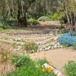 Arlington Garden in Pasadena, California during Spring