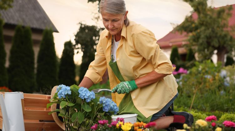 A senior woman working outside in her garden and doing home maintenance